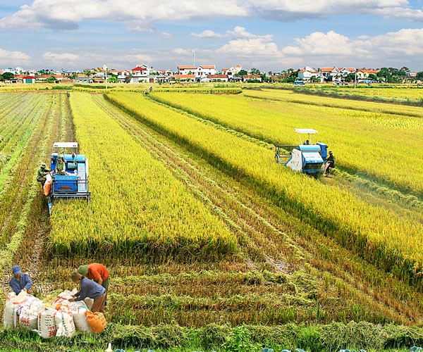 Chấp nhận "xé rào" để có đột phá tư duy trong phát triển ảnh 1 Chấp nhận "xé rào" để có đột phá tư duy trong phát triển ảnh 1