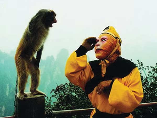 Hầu quyền - Tinh hoa võ thuật quái chiêu ảnh 3