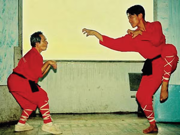 Hầu quyền - Tinh hoa võ thuật quái chiêu ảnh 1