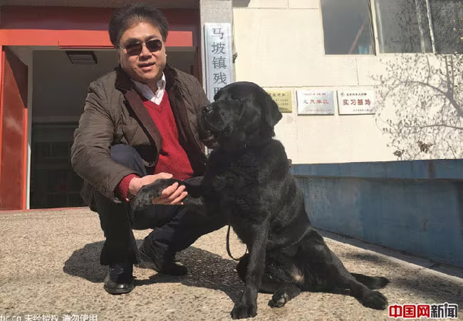 Trả lại chó cho chủ cũ kèm lời xin lỗi ảnh 1 Trả lại chó cho chủ cũ kèm lời xin lỗi ảnh 1