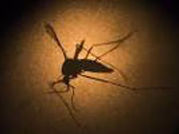 Phát hiện trường hợp nhiễm Zika đầu tiên tại Lào, Philippines ảnh 1 Phát hiện trường hợp nhiễm Zika đầu tiên tại Lào, Philippines ảnh 1
