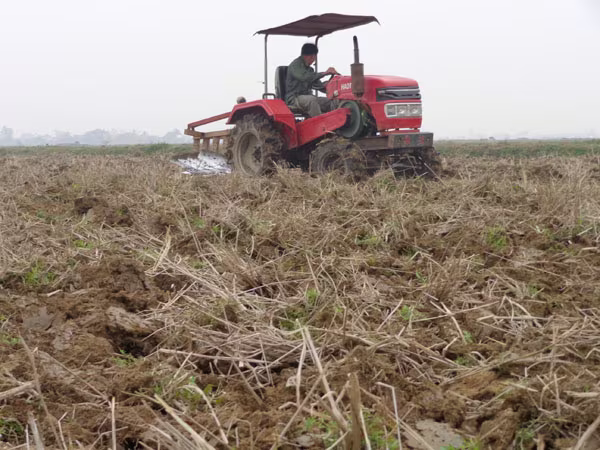 Nhập khẩu đất: Tránh để lại hậu quả ảnh 1 Nhập khẩu đất: Tránh để lại hậu quả ảnh 1