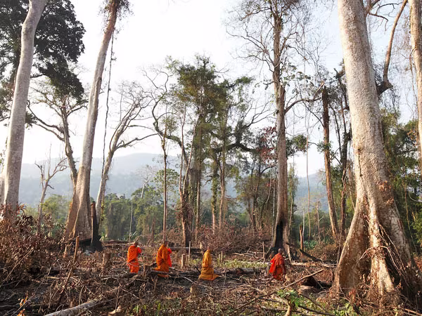 Mafia rừng tàn bạo khiến hàng chục người chết ảnh 1