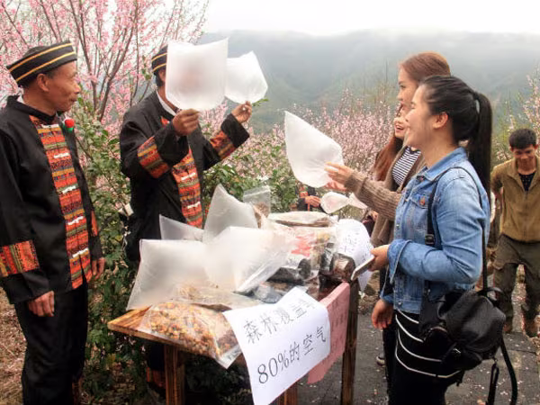 Bán túi khí sạch cho du khách thành thị ảnh 1 Bán túi khí sạch cho du khách thành thị ảnh 1