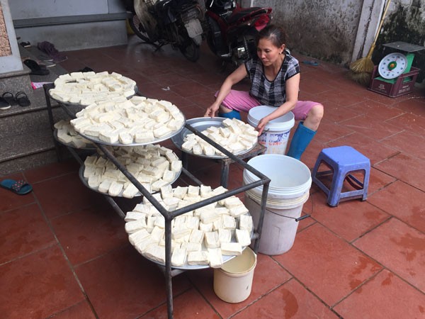 Nông dân nháo nhác trước tin đồn nhảm đậu nành gây ung thư ảnh 1 Nông dân nháo nhác trước tin đồn nhảm đậu nành gây ung thư ảnh 1