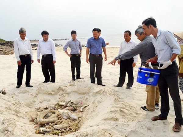 Vẫn chưa xác định được nguyên nhân khiến cá chết hàng loạt ảnh 1 Vẫn chưa xác định được nguyên nhân khiến cá chết hàng loạt ảnh 1