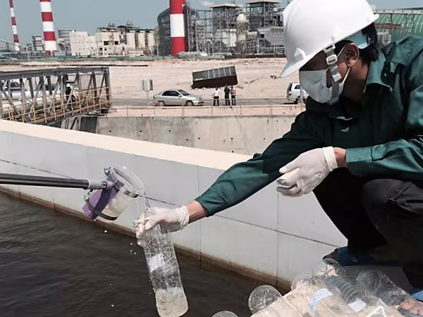 Chuyên gia quốc tế vào cuộc ảnh 2