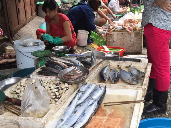 Người Hà Nội tiêu thụ hải sản bình thường ảnh 1 Người Hà Nội tiêu thụ hải sản bình thường ảnh 1