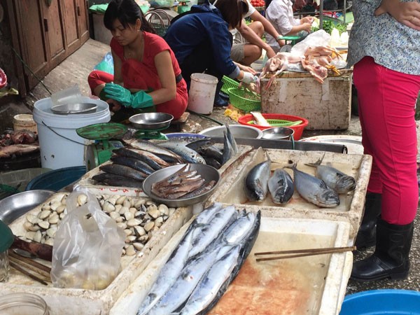 Người Hà Nội tiêu thụ hải sản bình thường ảnh 1 Người Hà Nội tiêu thụ hải sản bình thường ảnh 1