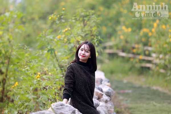 Ngỡ ngàng thảm hoa dã quỳ rực rỡ thủ đô Hà Nội ảnh 6 Ngỡ ngàng thảm hoa dã quỳ rực rỡ thủ đô Hà Nội ảnh 6