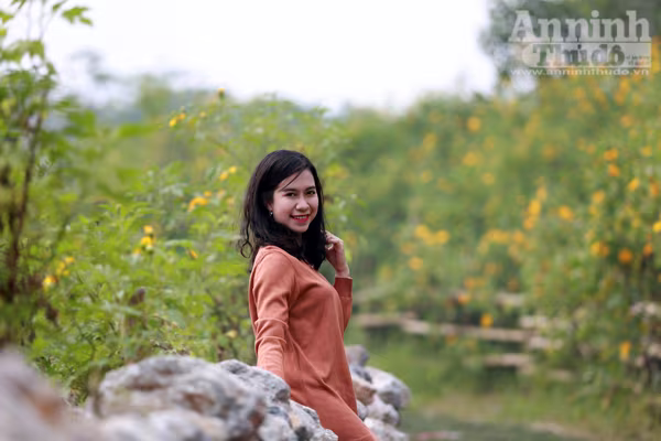 Ngỡ ngàng thảm hoa dã quỳ rực rỡ thủ đô Hà Nội ảnh 5 Ngỡ ngàng thảm hoa dã quỳ rực rỡ thủ đô Hà Nội ảnh 5