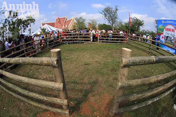 Độc đáo, hài hước lễ hội chọi Dê ảnh 2 Độc đáo, hài hước lễ hội chọi Dê ảnh 2