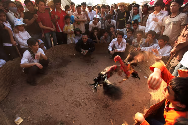 Triển lãm ảnh "Dấu ấn"  ảnh 5