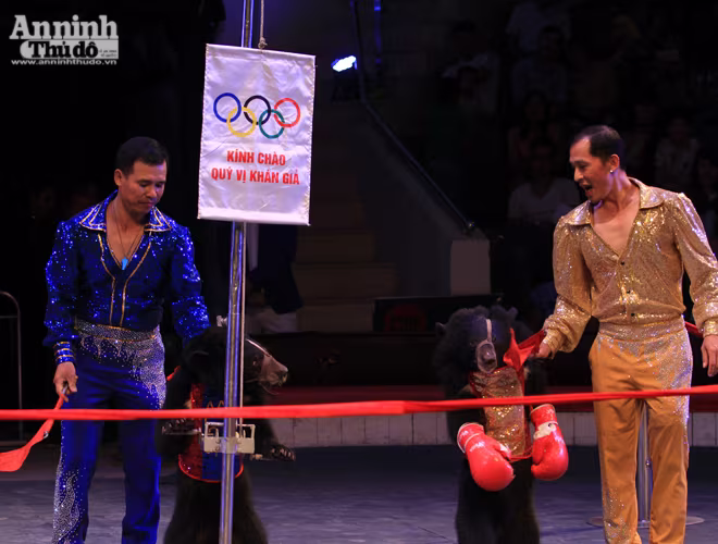 Màn so găng nảy lửa của 2 võ sĩ gấu ảnh 1