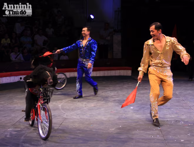 Màn so găng nảy lửa của 2 võ sĩ gấu ảnh 6