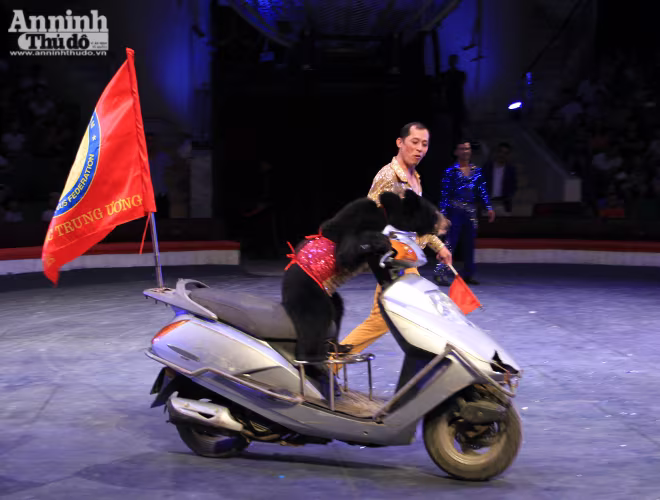 Màn so găng nảy lửa của 2 võ sĩ gấu ảnh 7