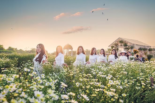 Những địa điểm chụp cúc họa mi "đẹp không tưởng" tại Hà Nội ảnh 1 Những địa điểm chụp cúc họa mi "đẹp không tưởng" tại Hà Nội ảnh 1