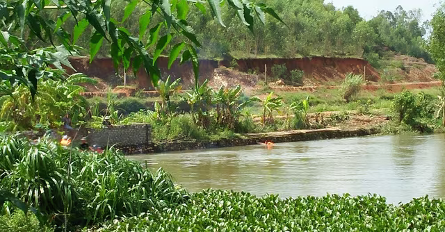 Tìm kiếm người đàn ông sẩy chân rơi xuống sông khi tắm cho trâu ảnh 1 Tìm kiếm người đàn ông sẩy chân rơi xuống sông khi tắm cho trâu ảnh 1