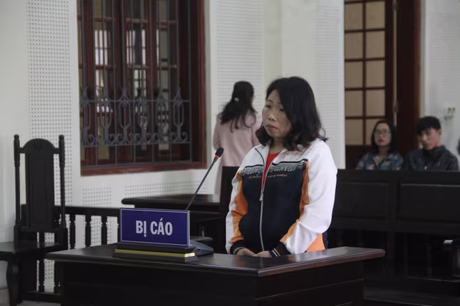 Lừa bán em họ sang Trung Quốc, người phụ nữ lĩnh án ảnh 1
