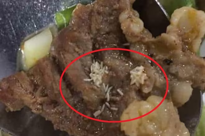 Công nhân tá hỏa khi phát hiện cả ổ giòi trong miếng thịt ảnh 1 Công nhân tá hỏa khi phát hiện cả ổ giòi trong miếng thịt ảnh 1