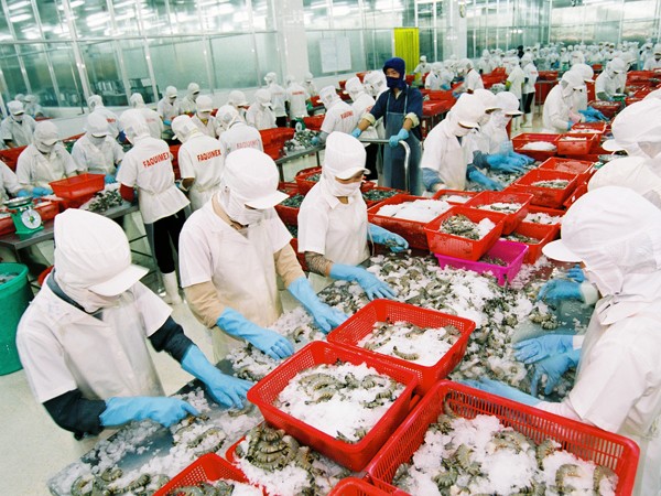 Thuế tôm vào Hoa Kỳ cao “ngất ngưởng”: Sẽ khởi kiện! ảnh 1 Thuế tôm vào Hoa Kỳ cao “ngất ngưởng”: Sẽ khởi kiện! ảnh 1