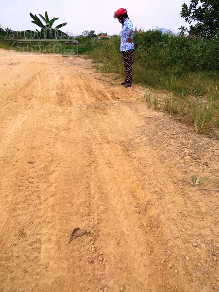 Nghi án một gia đình bị trộm chuốc thuốc mê, đưa xe tải “cướp” cả đàn trâu ảnh 2 Nghi án một gia đình bị trộm chuốc thuốc mê, đưa xe tải “cướp” cả đàn trâu ảnh 2