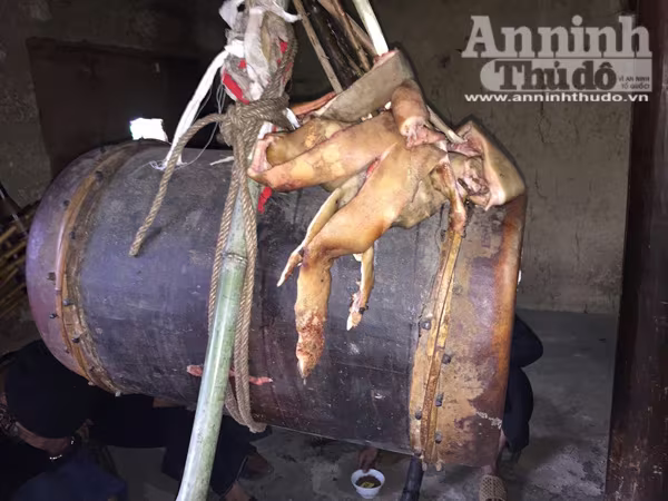 Mục kích lễ cúng ma khô, thả hồn người chết về với tổ tiên của người Mông ảnh 10 Mục kích lễ cúng ma khô, thả hồn người chết về với tổ tiên của người Mông ảnh 10