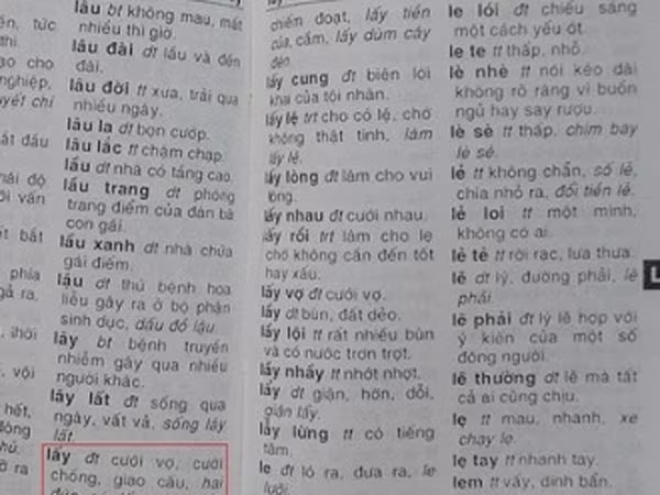 Phải thu hồi cuốn từ điển mắc nhiều lỗi ngô nghê ảnh 2 Phải thu hồi cuốn từ điển mắc nhiều lỗi ngô nghê ảnh 2
