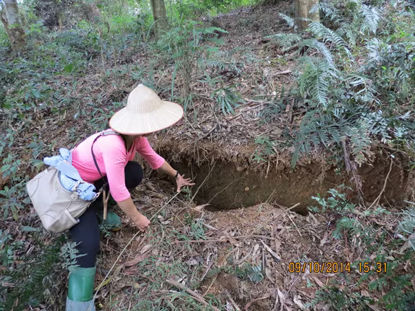 Nứt nghiêm trọng trên núi Ba Vì ảnh 1