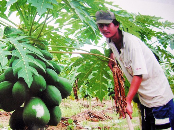 Học làm giàu từ trong... trại giam ảnh 1 Học làm giàu từ trong... trại giam ảnh 1
