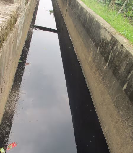 Sông Đáy thơ mộng bị ô nhiễm trầm trọng, trở thành "dòng sông chết" ảnh 4