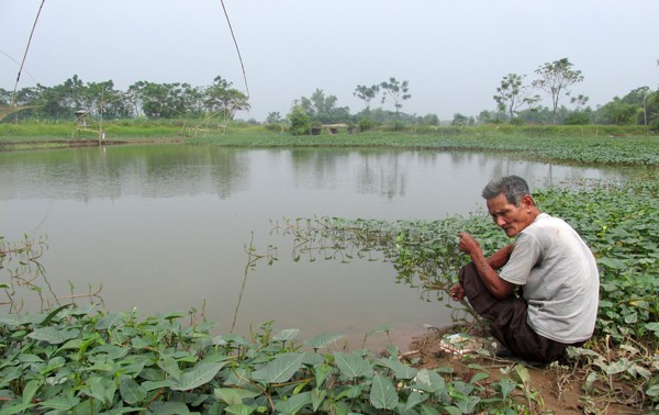 Sông Đáy thơ mộng bị ô nhiễm trầm trọng, trở thành "dòng sông chết" ảnh 2 Sông Đáy thơ mộng bị ô nhiễm trầm trọng, trở thành "dòng sông chết" ảnh 2