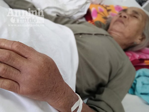 Đã có hơn 140 người nhập viện vì bị rắn lục đuôi đỏ cắn ảnh 1 Đã có hơn 140 người nhập viện vì bị rắn lục đuôi đỏ cắn ảnh 1