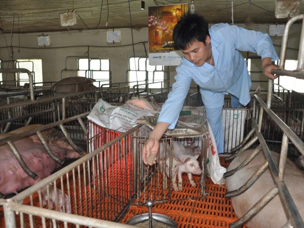 Trên bước đường thành công, không có vết chân của kẻ lười biếng ảnh 1 Trên bước đường thành công, không có vết chân của kẻ lười biếng ảnh 1