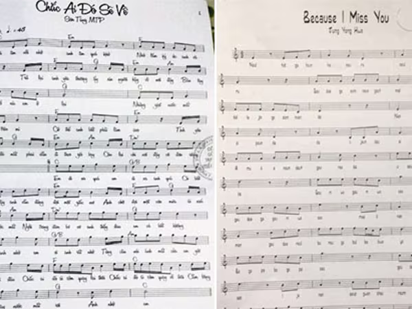 Nghi án Sơn Tùng “đạo nhạc”: Bộ VH-TT&DL thành lập Hội đồng thẩm định mới ảnh 1