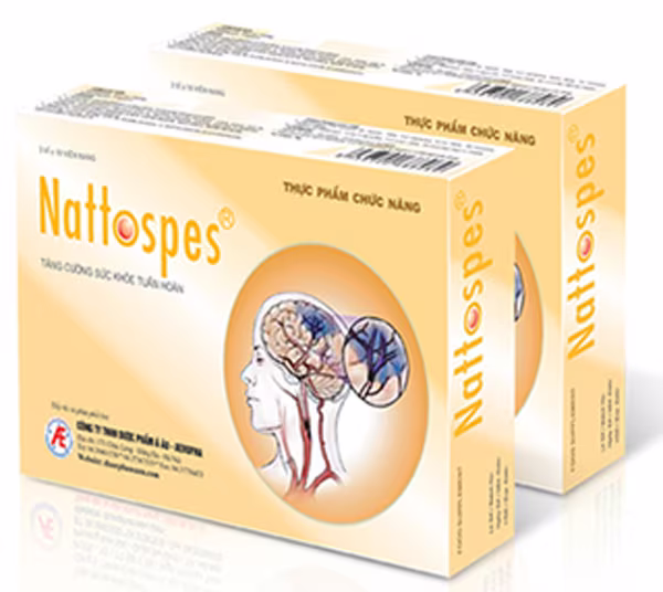 Nguyên nhân và cách cải thiện đột quỵ hiệu quả nhờ thảo dược ảnh 5