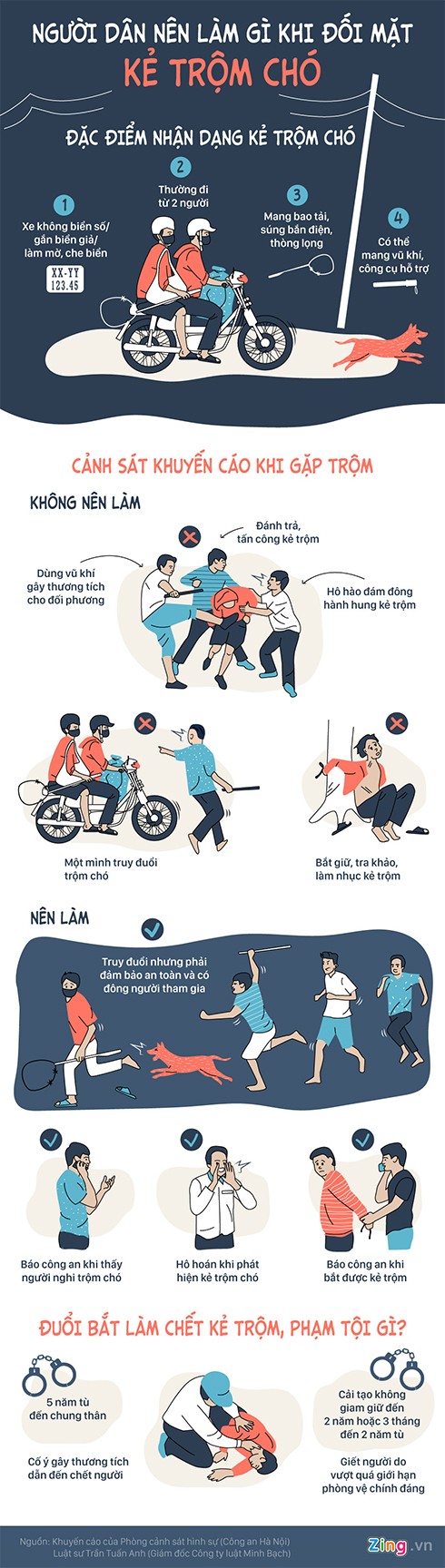Gặp phải trộm chó, xử lý thế nào để không phạm tội? ảnh 3 Gặp phải trộm chó, xử lý thế nào để không phạm tội? ảnh 3
