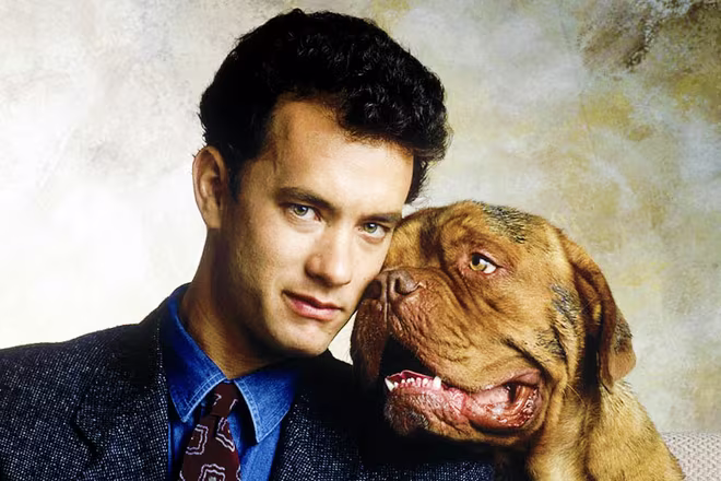 10 chú chó nổi tiếng nhất màn ảnh thế giới mọi thời đại ảnh 4 10 chú chó nổi tiếng nhất màn ảnh thế giới mọi thời đại ảnh 4