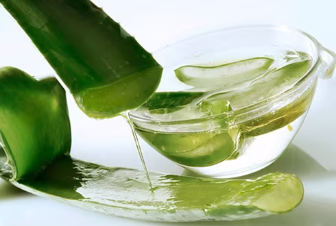 Thử ngay 10 loại mặt nạ tự nhiên "thần kỳ" cho da khô nứt nẻ ảnh 1 Thử ngay 10 loại mặt nạ tự nhiên "thần kỳ" cho da khô nứt nẻ ảnh 1