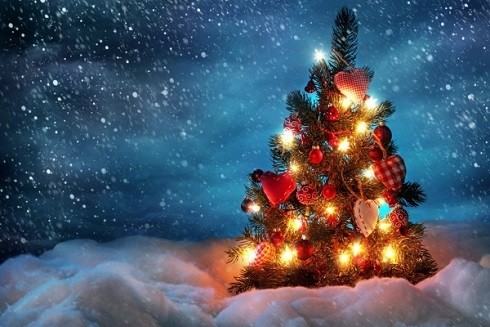 Mách bạn những ý tưởng trang trí cây thông Noel độc đáo ảnh 5 Mách bạn những ý tưởng trang trí cây thông Noel độc đáo ảnh 5
