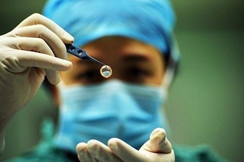 Những quyền được hưởng của người hiến tạng ảnh 1 Những quyền được hưởng của người hiến tạng ảnh 1