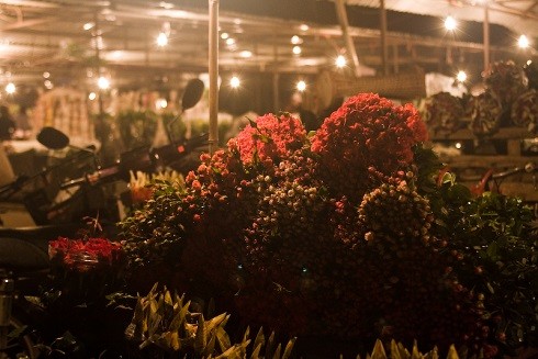 Những chợ hoa nổi tiếng Hà thành dịp Tết Nguyên đán 2019 ảnh 3 Những chợ hoa nổi tiếng Hà thành dịp Tết Nguyên đán 2019 ảnh 3