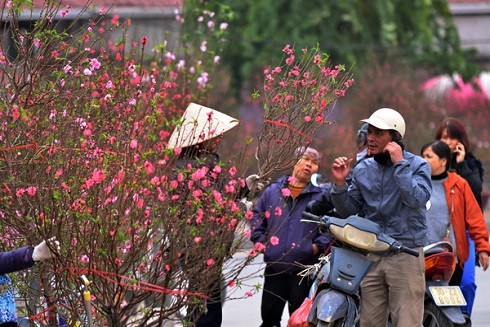 Những chợ hoa nổi tiếng Hà thành dịp Tết Nguyên đán 2019 ảnh 4 Những chợ hoa nổi tiếng Hà thành dịp Tết Nguyên đán 2019 ảnh 4