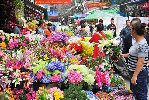 Những chợ hoa nổi tiếng Hà thành dịp Tết Nguyên đán 2019 ảnh 5 Những chợ hoa nổi tiếng Hà thành dịp Tết Nguyên đán 2019 ảnh 5