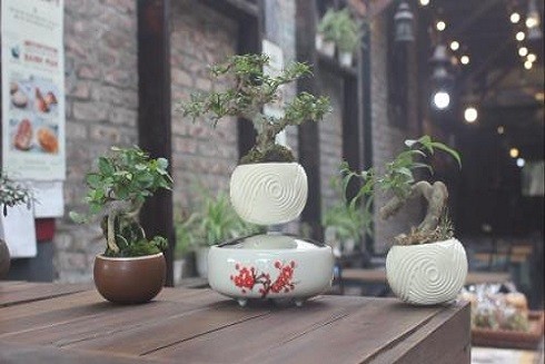 Săn lùng những món quà "độc" dành tặng người thân dịp Tết ảnh 5 Săn lùng những món quà "độc" dành tặng người thân dịp Tết ảnh 5