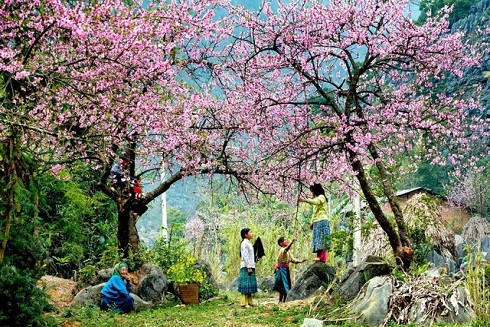 Top những điểm du lịch hấp dẫn nhất Việt Nam dịp Tết Nguyên đán 2019 ảnh 1 Top những điểm du lịch hấp dẫn nhất Việt Nam dịp Tết Nguyên đán 2019 ảnh 1