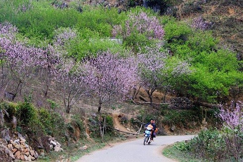 Top những điểm du lịch hấp dẫn nhất Việt Nam dịp Tết Nguyên đán 2019 ảnh 4 Top những điểm du lịch hấp dẫn nhất Việt Nam dịp Tết Nguyên đán 2019 ảnh 4