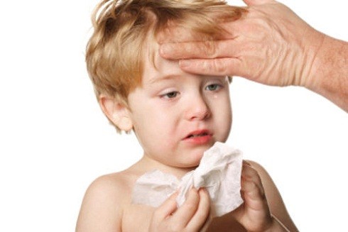 Những bệnh dịch không thể "coi thường" trong mùa đông – xuân ảnh 3 Những bệnh dịch không thể "coi thường" trong mùa đông – xuân ảnh 3