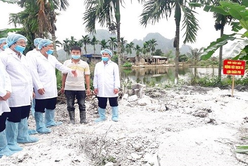 Ngăn chặn dịch tả lợn châu Phi trước nguy cơ lan rộng ảnh 2 Ngăn chặn dịch tả lợn châu Phi trước nguy cơ lan rộng ảnh 2