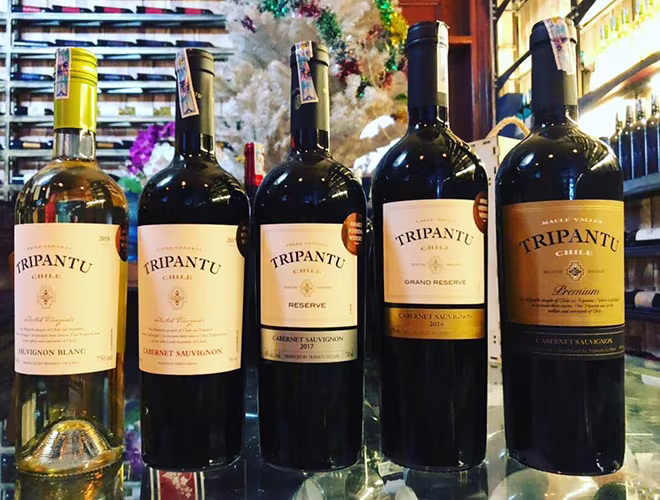 [ẢNH] Uống rượu, bia quá đà là tự gây hại cho sức khỏe ảnh 22